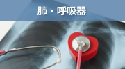 肺・呼吸器