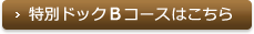 特別ドックBコースはこちら