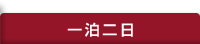1泊2日