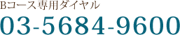お問合せ専用ダイヤル03-5684-9600