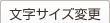 文字サイズ