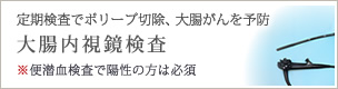 大腸内視鏡検査