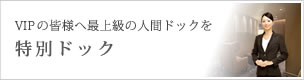 特別ドック