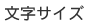 文字サイズ