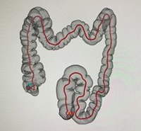 全体像