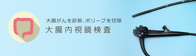 胃や大腸の内部を電子スコープで観察。