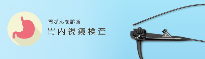 胃や大腸の内部を電子スコープで観察。